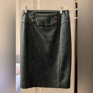 Express Pencil Skirt